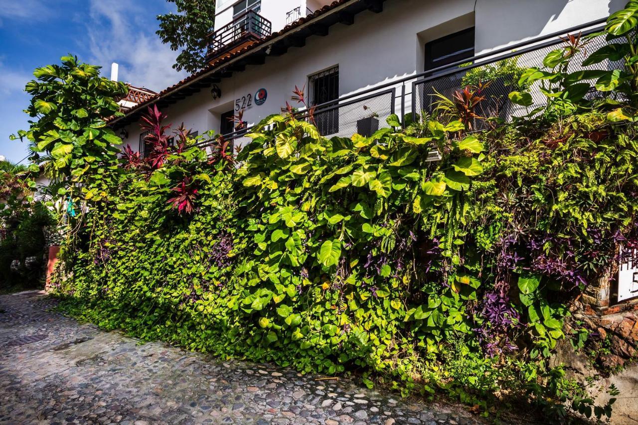 Hotel 522, Puerto Vallarta Exterior photo